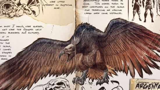Argentavis magnificens. Dibujo ave prehistórica