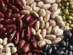 ¿De dónde vienen los frijoles?