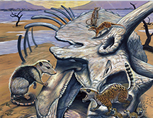 El último dinosaurio antes del meteorito