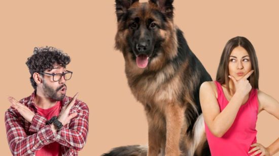 Composición pareja con perro detrás