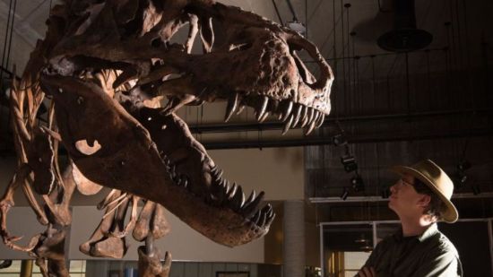 Scotty el tiranosaurio rex mas grande del mundo