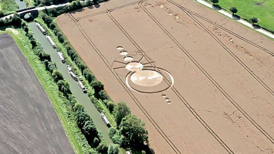 Círculos en un campo de cereal
