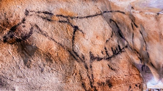 primera especie en extinción