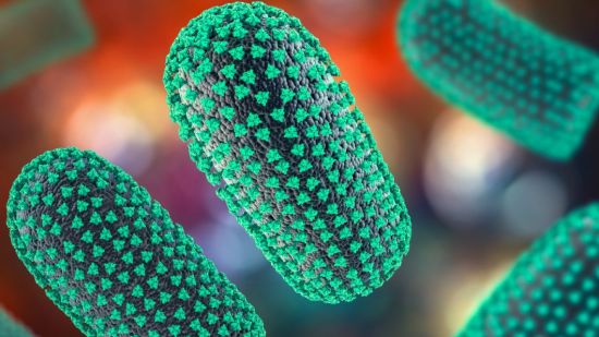 Virus de la rabia en 3D