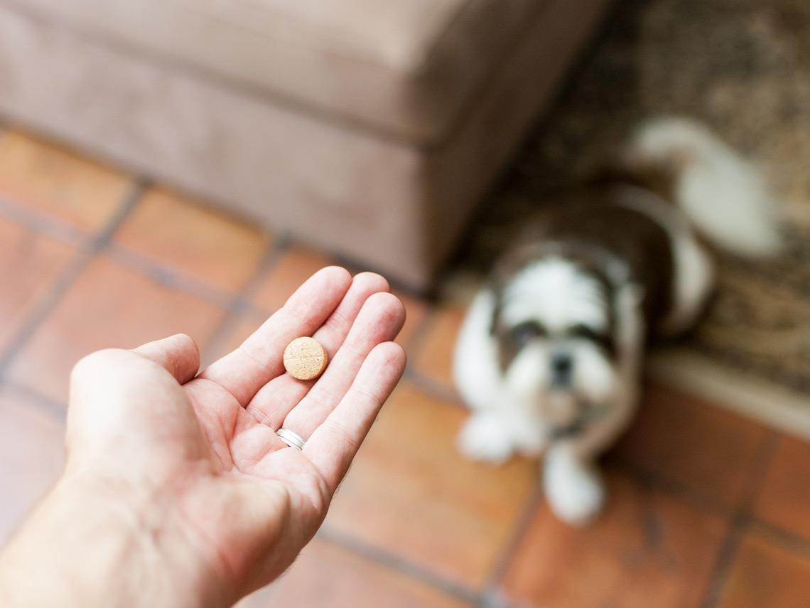 Mano de mujer con una pastilla y de fondo un perro