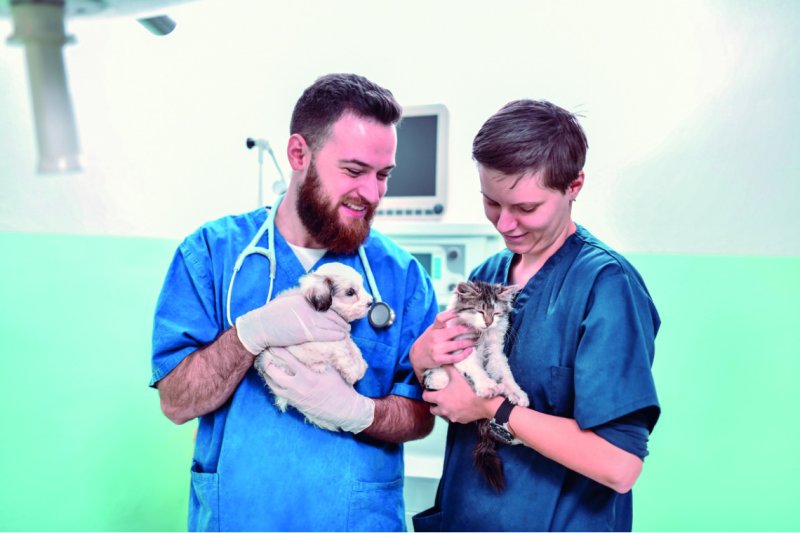 Dos veterinarios con un perrito y un gatito