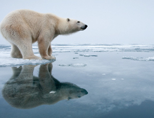 La temperatura global del planeta subirá 4 ºC en 2100