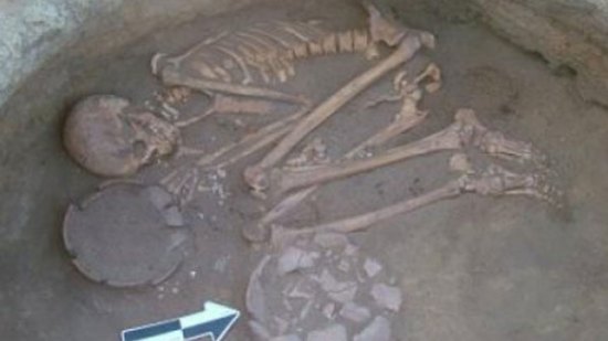 Nuestros ancestros ya usaban plantas medicinales hace miles de años