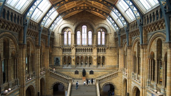 Museo de Historia Natural de Londres © Bruno Medley