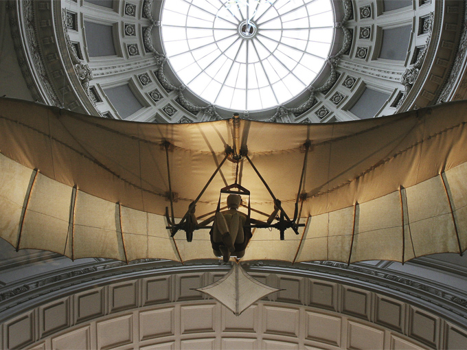 El vuelo de los pájaros