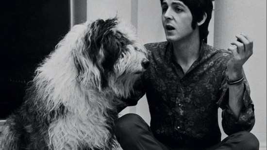 Paul y su perra Martha