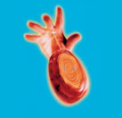 ¿Quién inventó el yoyó?