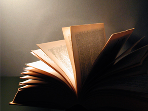 ¿Cuál es el libro más largo del mundo que se ha escrito hasta ahora?