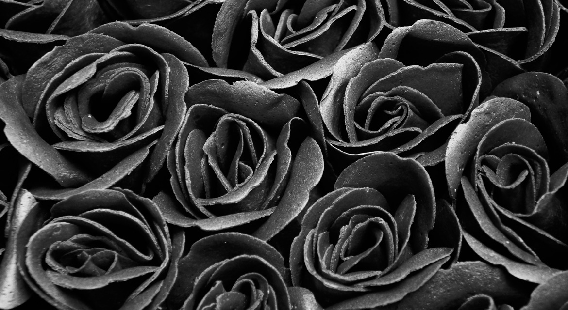 Rosas negras