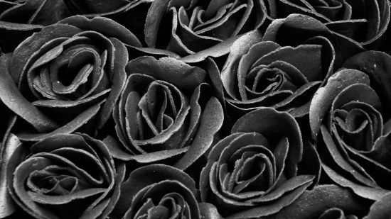 Rosas negras