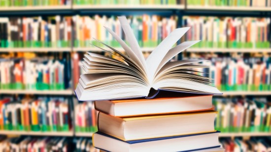 Los mejores libros sobre Economía