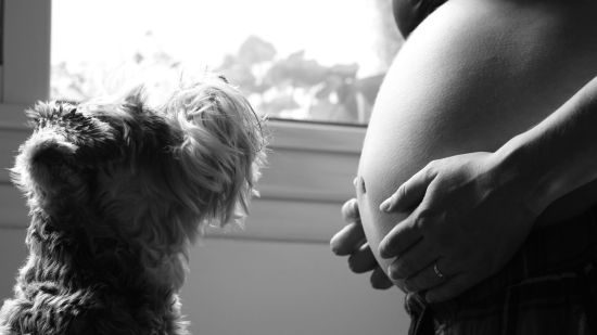 Voy a ser madre y tengo un perro