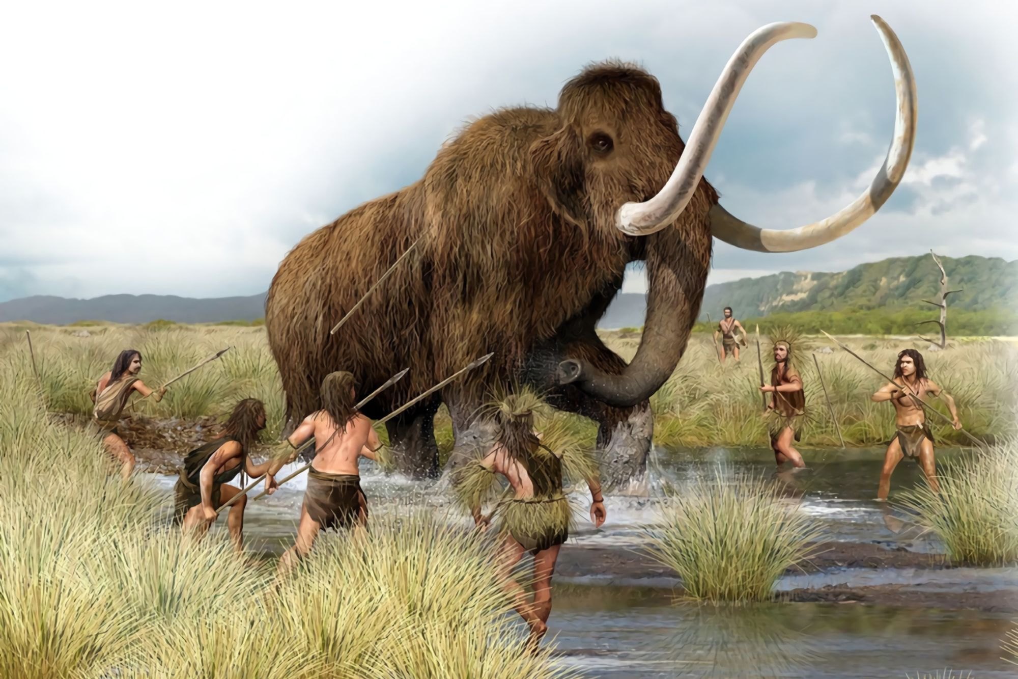 Los primeros pobladores de América pudieron ser más carroñeros que cazadores