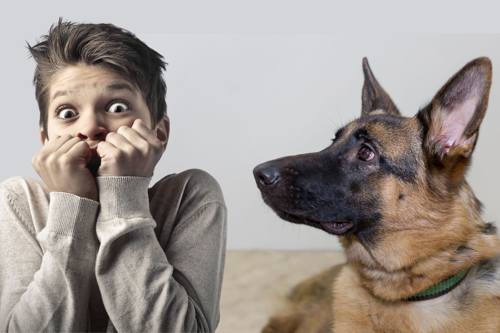 Por qué tengo miedo a los perros