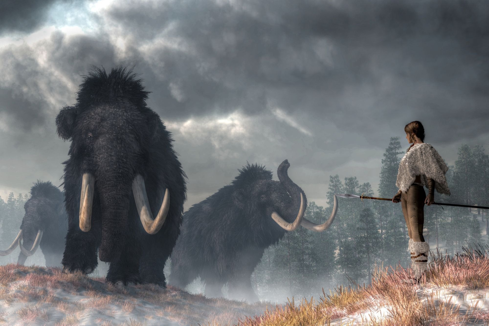 Huellas de elefantes