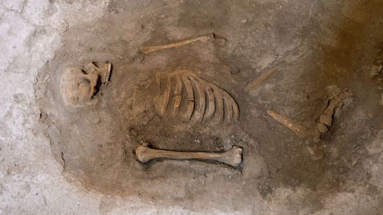 Esqueleto Carbono 14