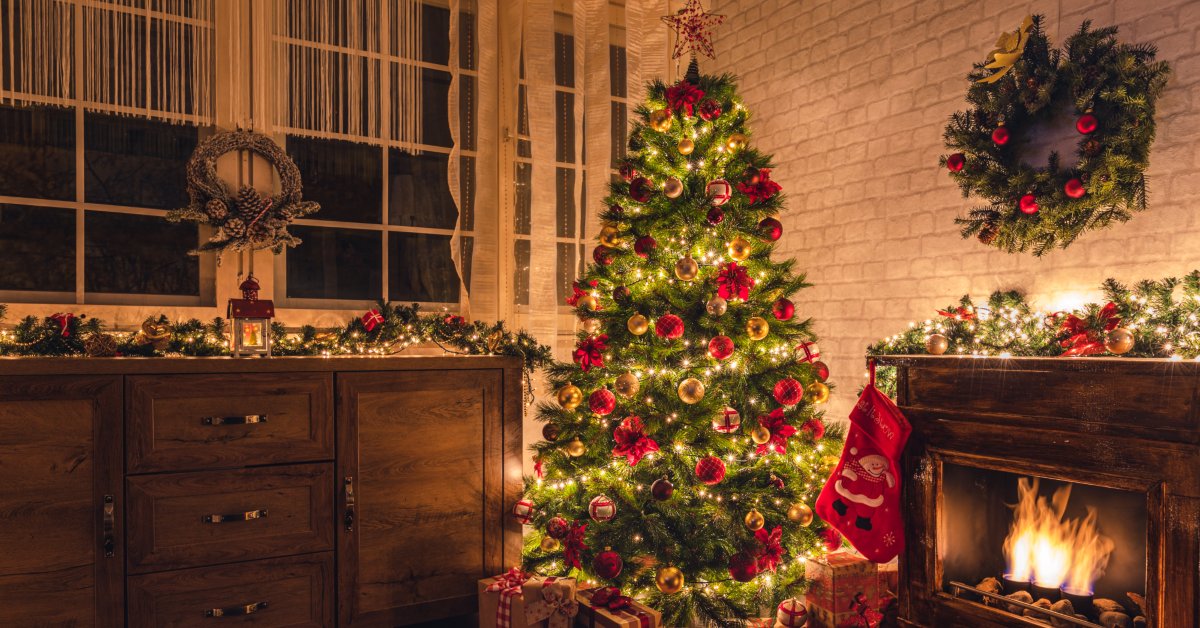¿Cuál es el auténtico árbol de navidad?