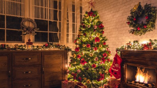 ¿Cuál es el auténtico árbol de navidad?