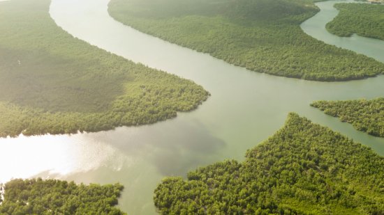 Qué les pasó a Kremers y Froon en Panamá