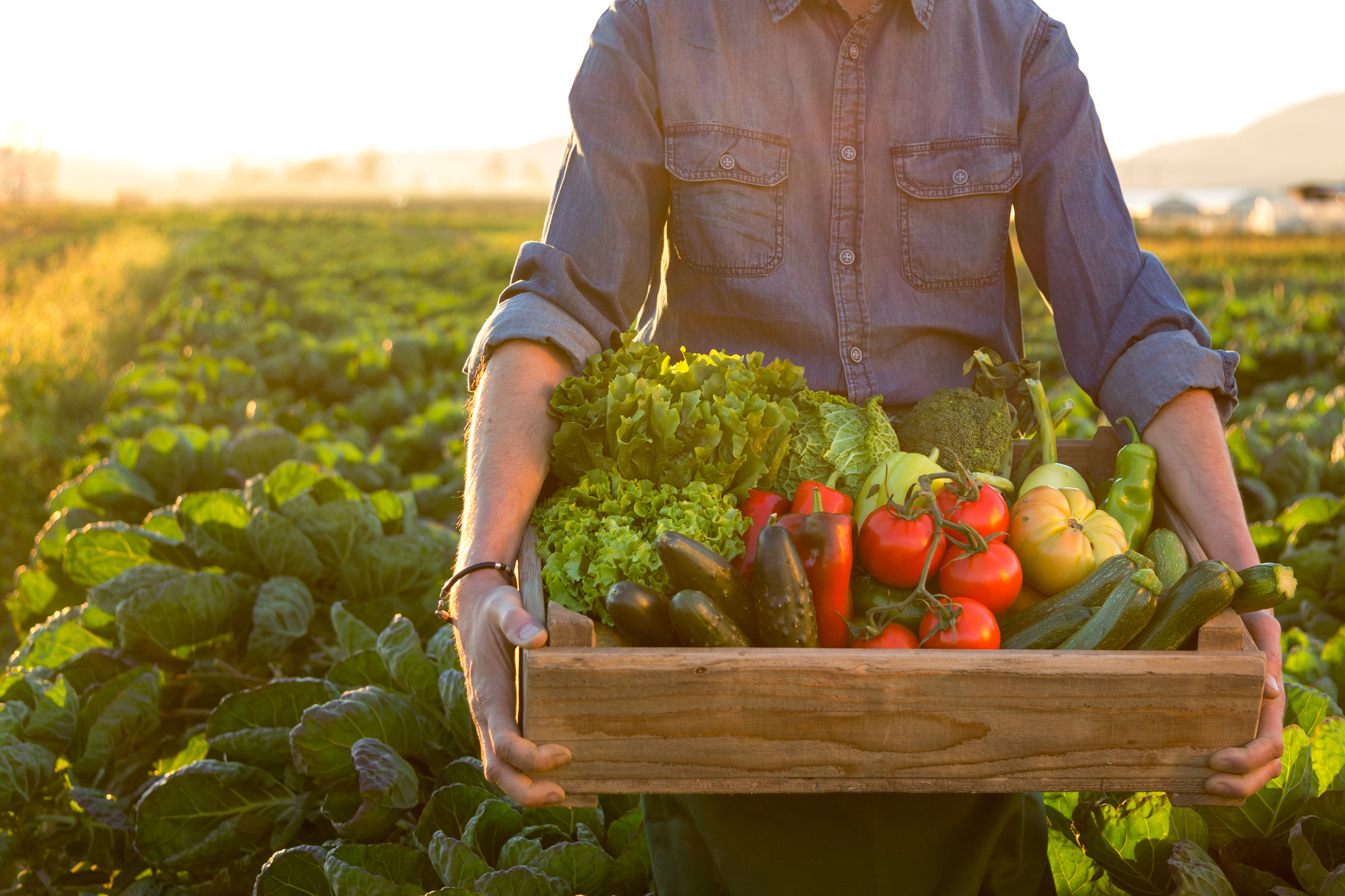 Hombre con caja de verduras