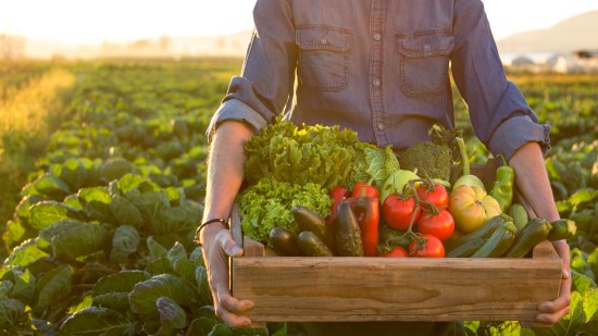 Hombre con caja de verduras