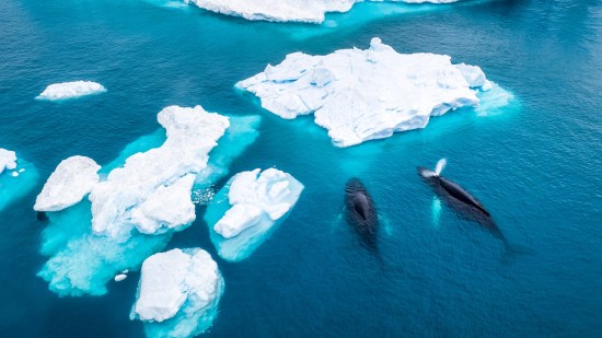 Calentamiento global Groenlandia