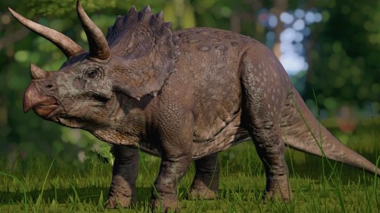 Este rasgo de Triceratops siempre se representa de forma errónea