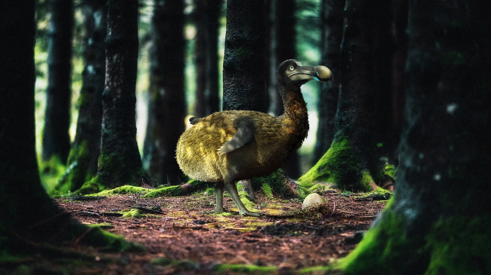 El dodo es una de las especies extintas más famosas