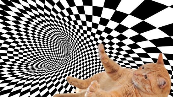 ¿Puede tu mascota ver esta ilusión óptica? Haz la prueba