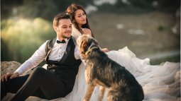 Cómo invitar a mi mascota a mi boda