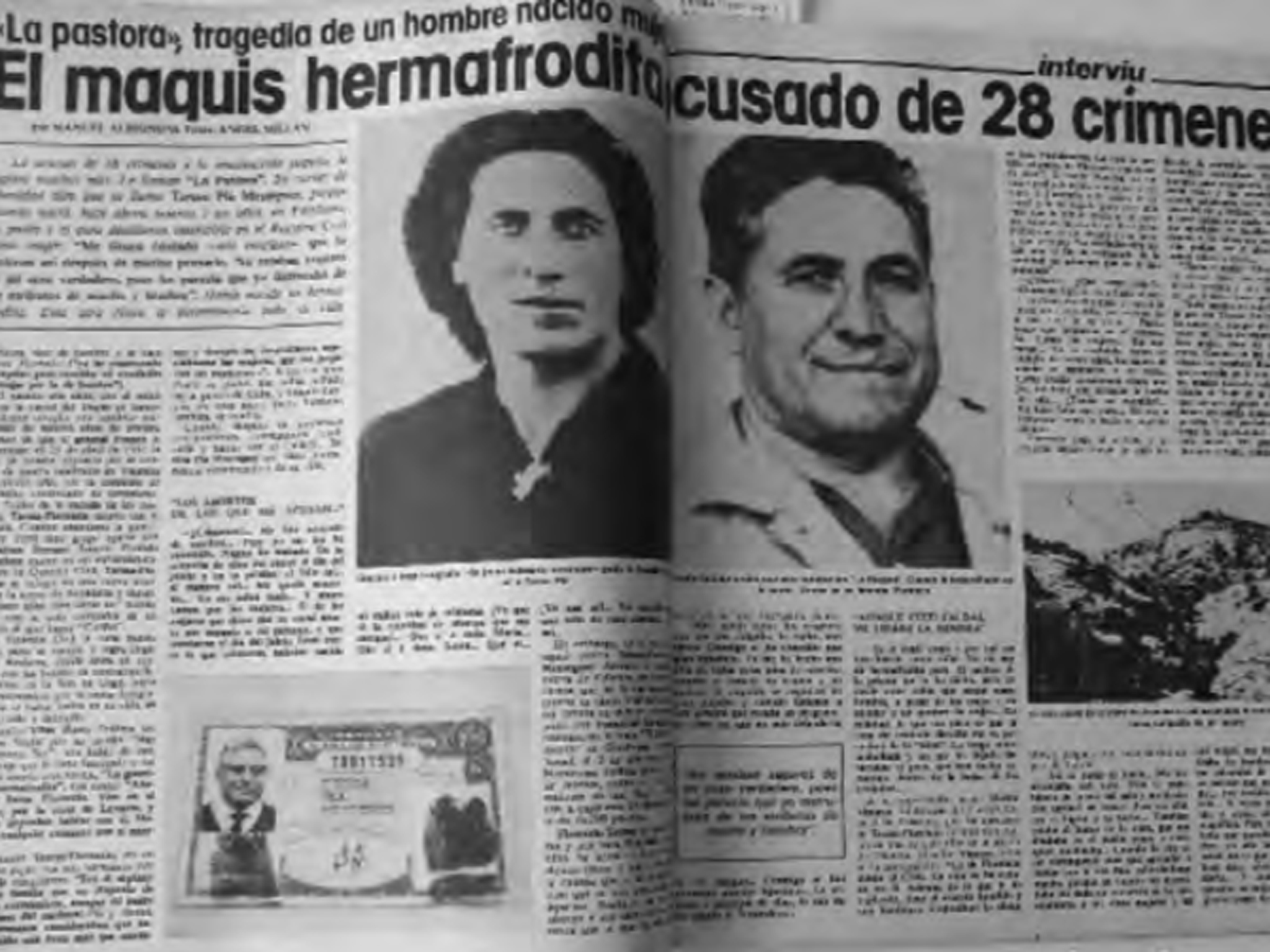Maquis hermafrodita periódico