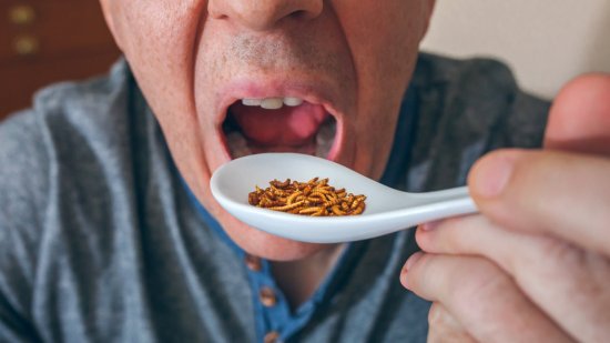 La Unión Europea autoriza insectos para la alimentación humana