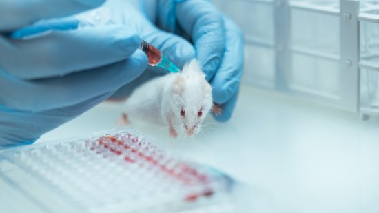 ¿Científico o conejillo de indias?