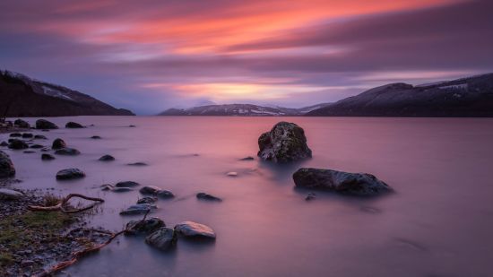 Acabo de ver un lindo monstruito en el lago Ness