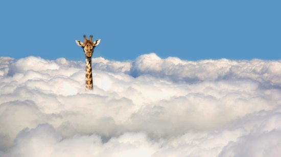 ¿Hasta qué punto es real la realidad?