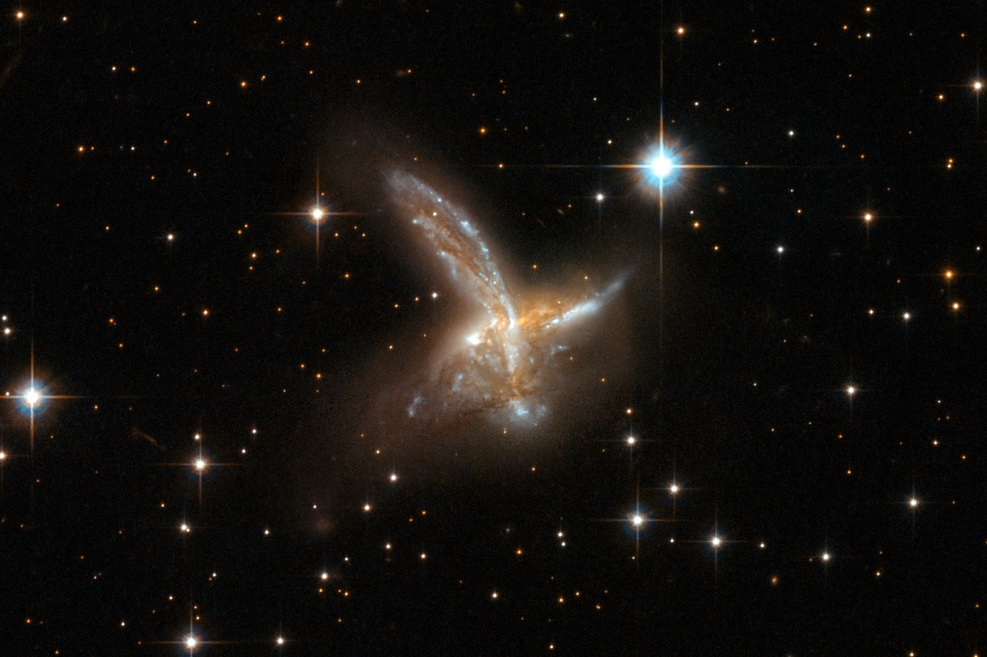 Canibalismo galáctico, una forma más de evolución