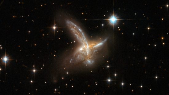 Canibalismo galáctico, una forma más de evolución