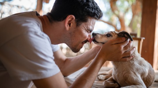 Perro lamiendo a un hombre