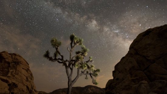 Qué ver en el cielo nocturno este mes (marzo 2023)