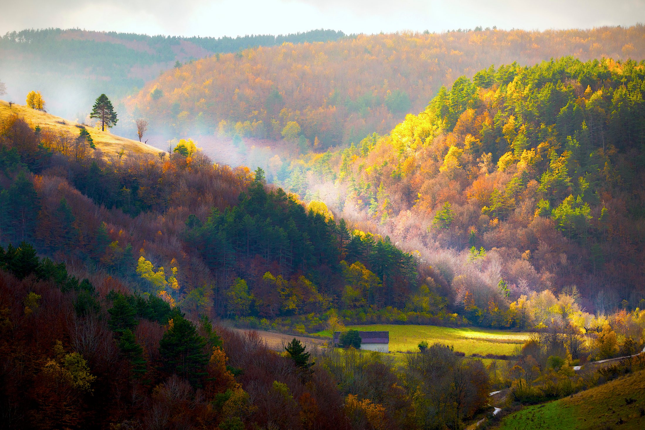 Conoce la Selva de Irati, paraíso natural de Navarra
