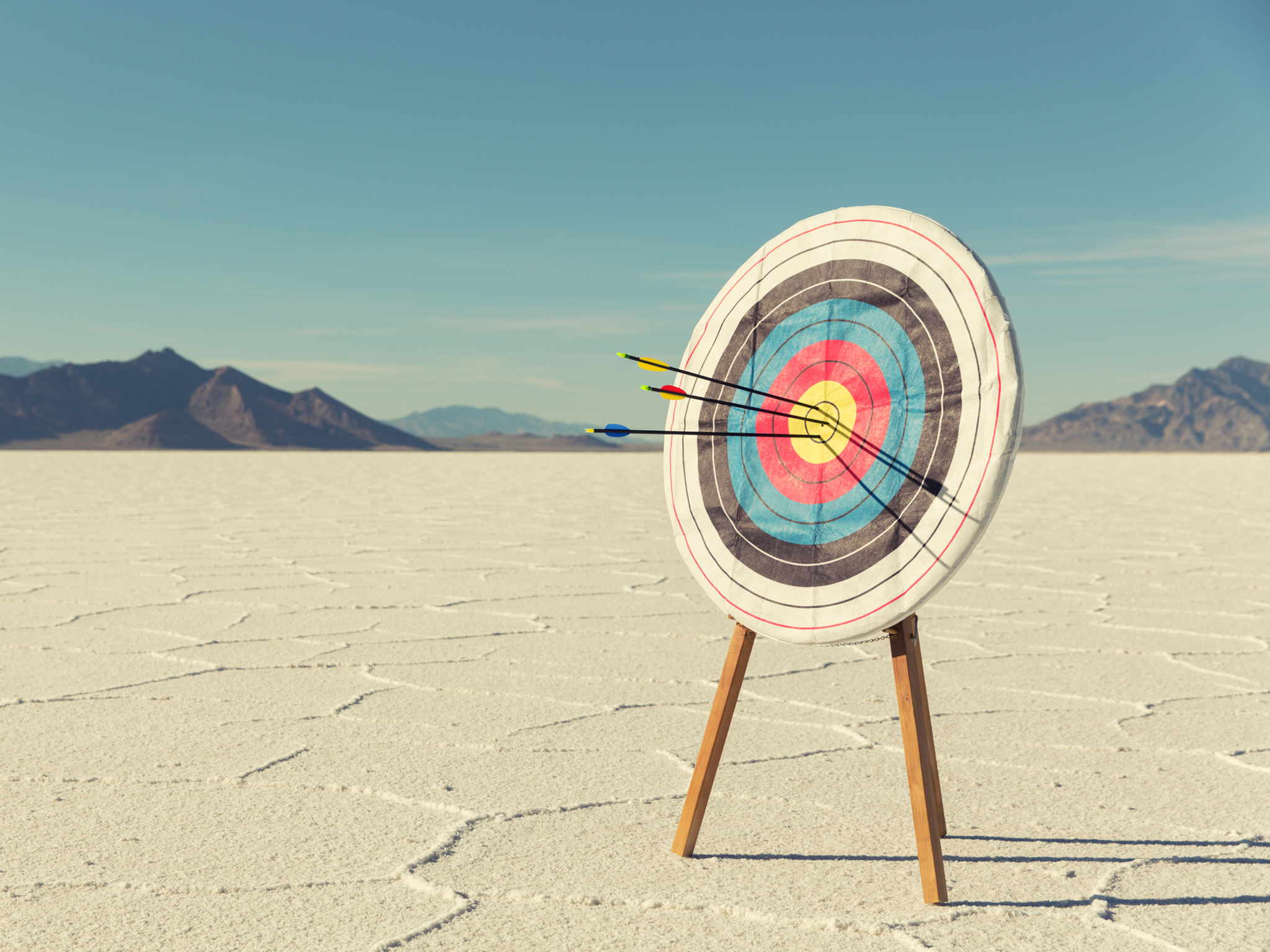 Flechas en una diana