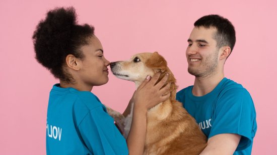 Los motivos por los que los perros prefieren a las mujeres