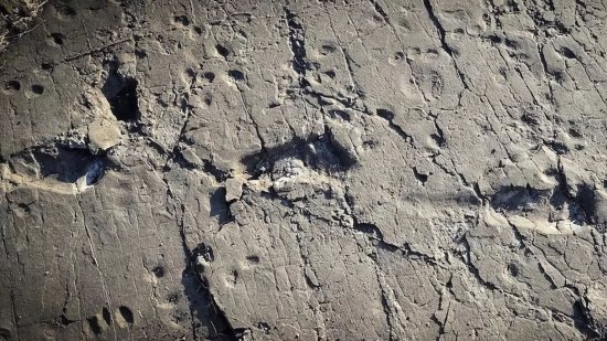 Huellas de Laetoli: así eran los homínidos que caminaron por Tanzania hace 3,7 millones de años