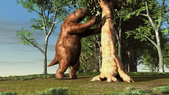 ¿Cómo de grande era el perezoso gigante?