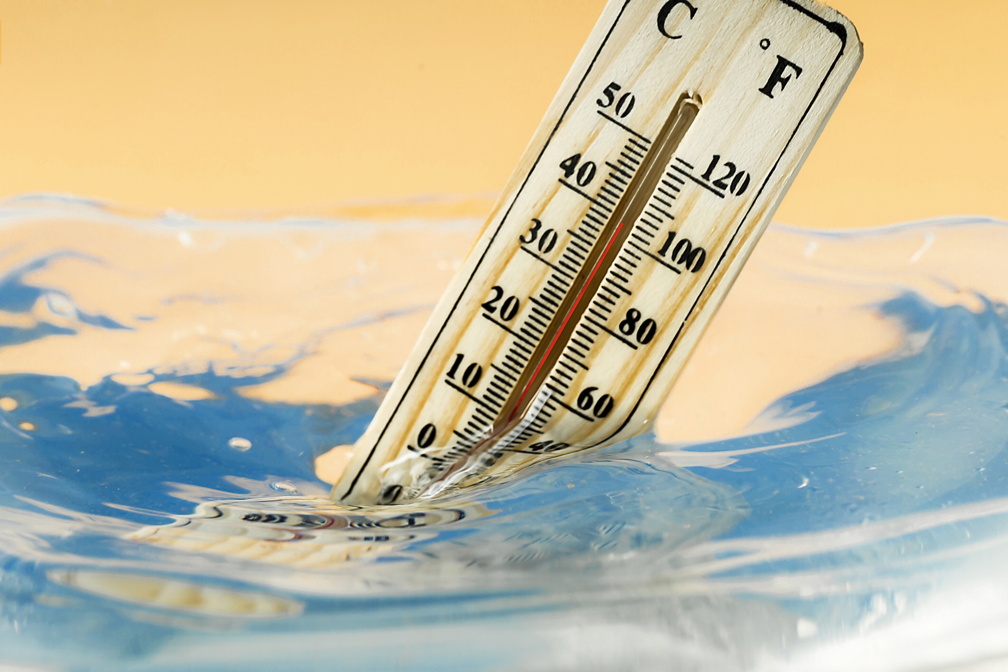 Olas de calor marinas